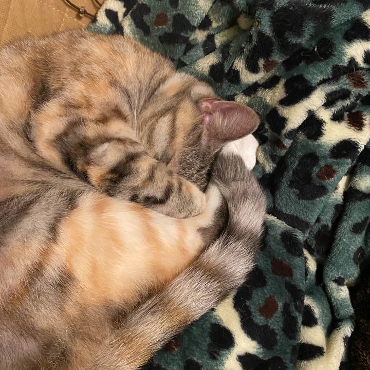 169fe0a0 44b7 4d64 bff8 87188bf1345a 1586539731882