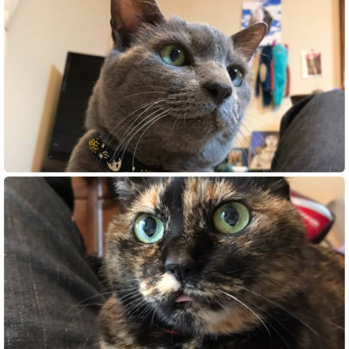 169fe663 e241 4d7b ad28 65952324f2cc 1561037855735