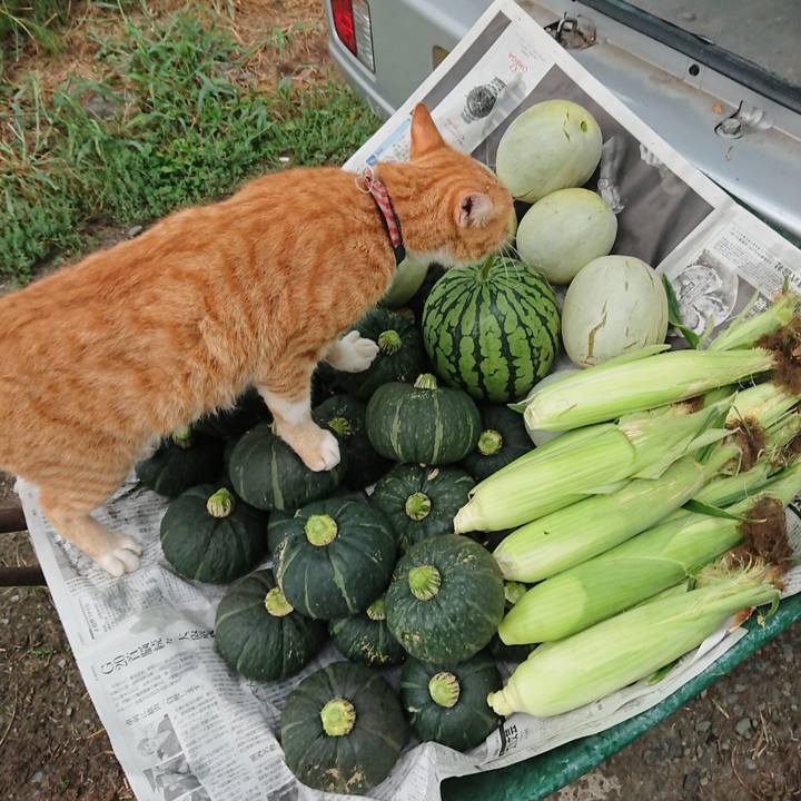 169fed74 8f09 4064 b43d c2b4bfc53ad2 1566077174164