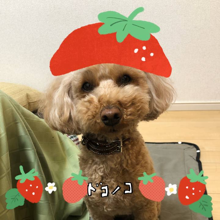 169ffd3c a6c0 45bd b38c 205a4ff6fa43 1775385709270