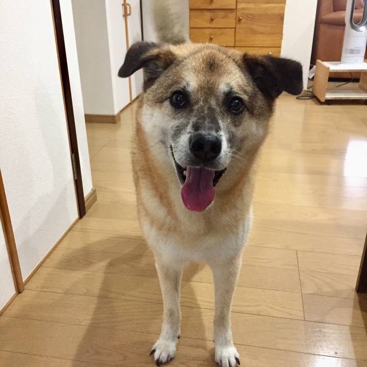 16a0037c 6fac 40ba bcf9 7131a79c383e 1562197995069