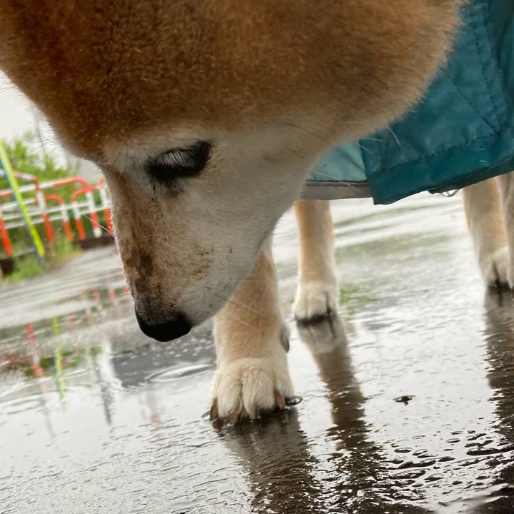 16a0089b 3477 4045 9c4c 2605d87b44d6 1715588891110