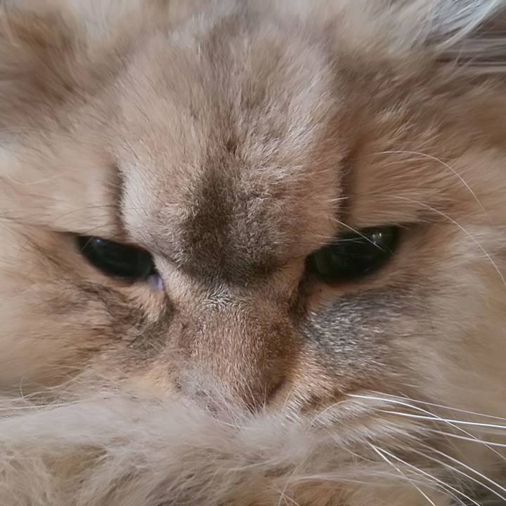 16a03128 c839 45a7 8592 e809ed337267 1583364628944