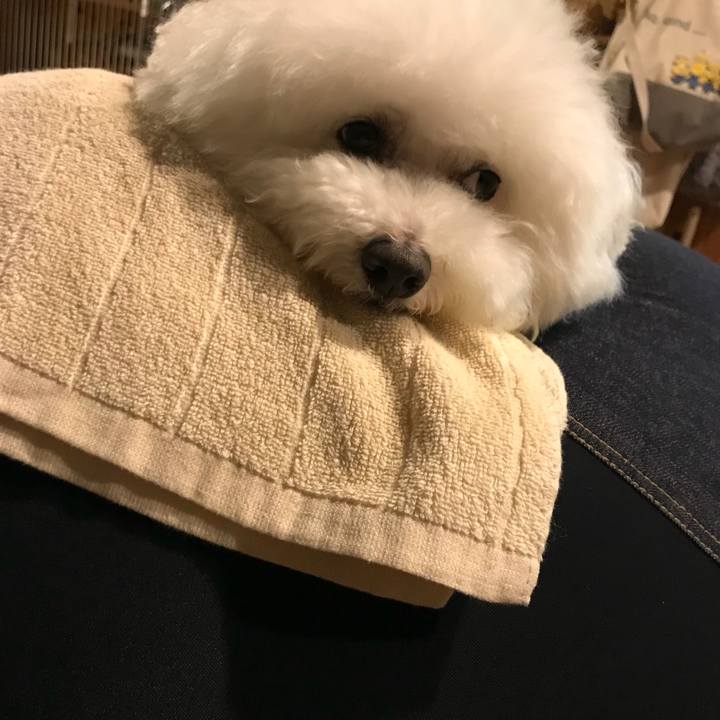 16a05bb8 c81c 4cda a4d6 40c1d3f0e780 1529057702446