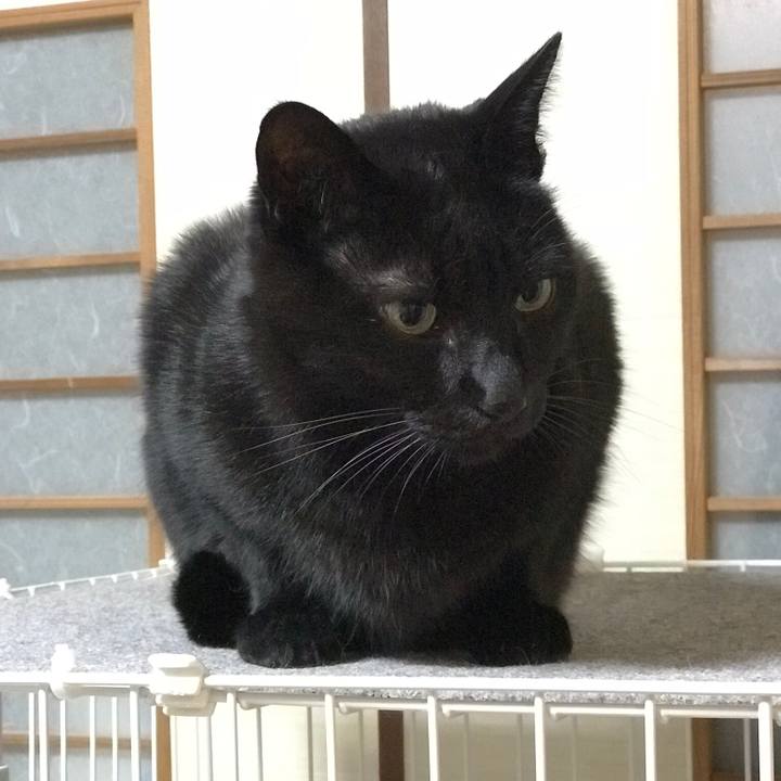 16a05ec0 5df1 45fa 8a12 a918b068b8fb 1514508673119