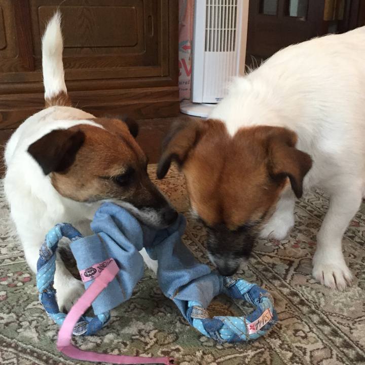 16a06812 0747 4647 ad8e 3bbe02eb8507 1529019455274