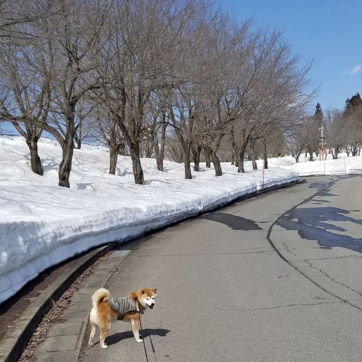 16a0c33a d234 4da5 99cd 1cab3f3fbc65 1648105755915