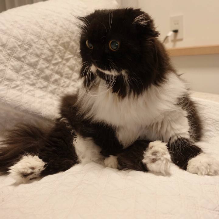 16a0ff57 e9ac 4a59 a24c b41be533849b 1537117084550