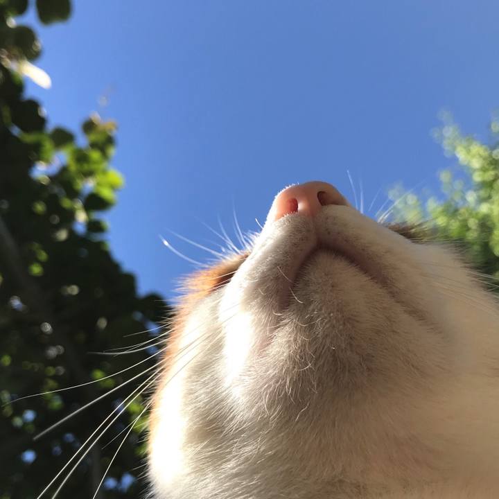 16a133f4 98c7 47b3 8620 bf4c7e7923d9 1528962984336