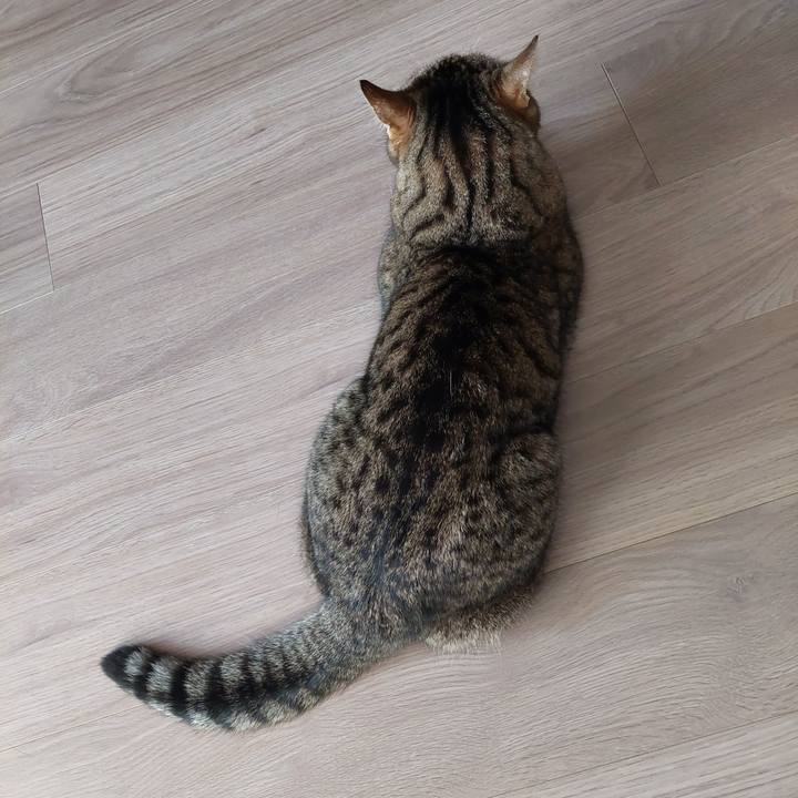 16a13b75 5a18 41f9 88a9 ab6dfc6adbca 1732772302797