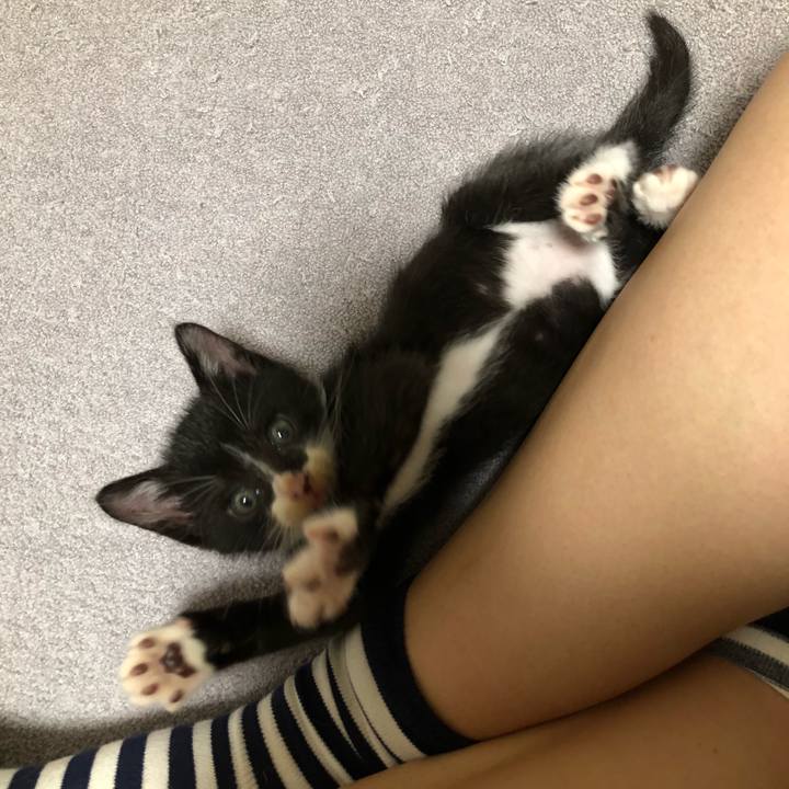 16a17620 29e5 4a6b 80f4 f3ba300c5366 1537024347418