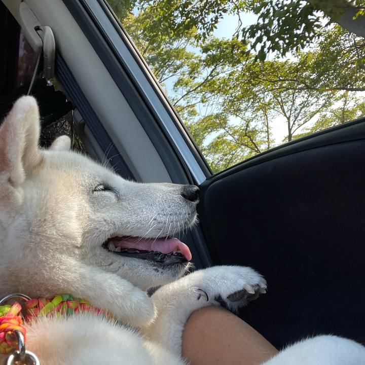 16a19bfa 9555 4bc5 b32b f24f8d0fb3a2 1692513324213