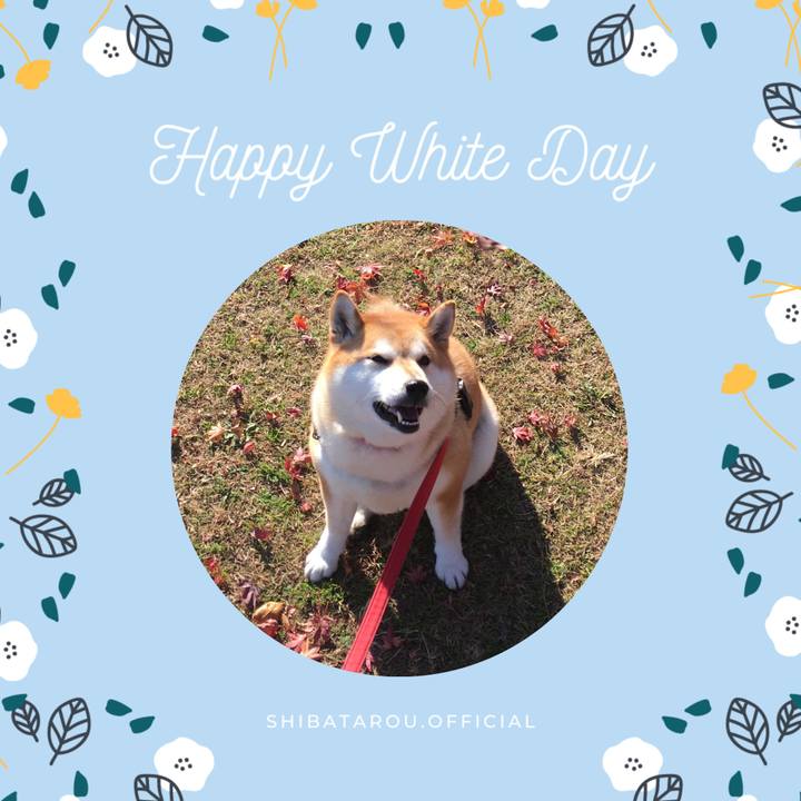 16a1b844 eba2 4a2f 86e4 bb0856620375 1647263784460