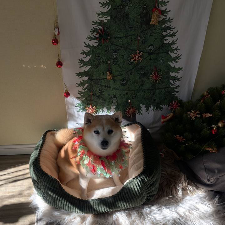 16a1d5d2 7de5 45da acef 8bc7ea6e8ab2 1766239025119