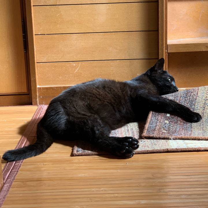 16a20486 b6cb 4d47 b275 a5adec0af86b 1560904635624