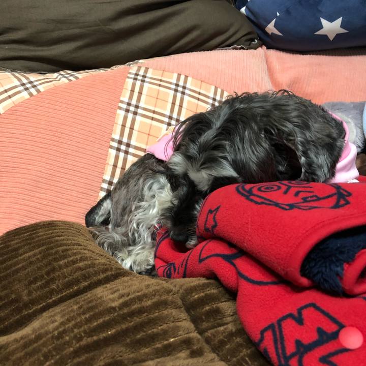 16a205f5 0b1a 4061 b885 2c50dc2f4110 1650367193890