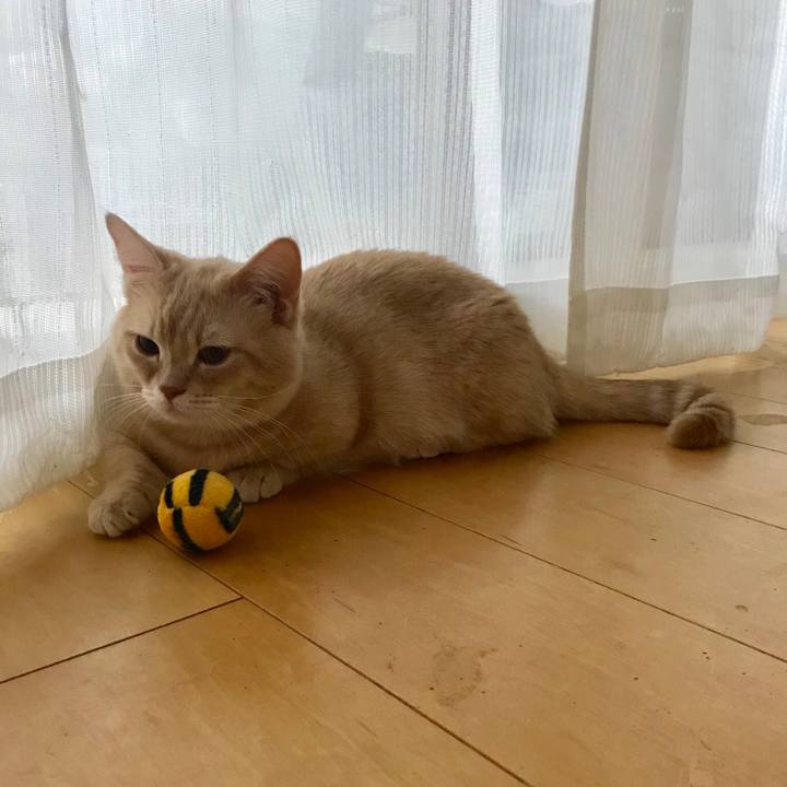 16a2221a 3c3a 466a 9643 ffcec5226215 1524091175012