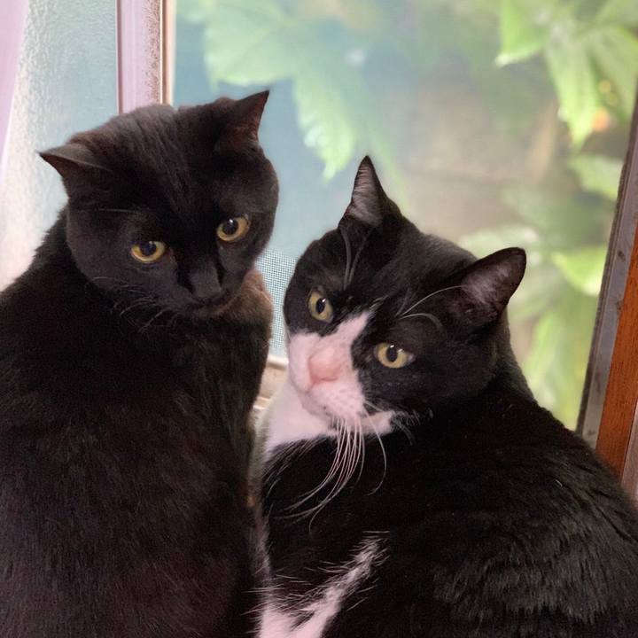 16a222ce 654a 413d 94a3 635915638879 1652763476794