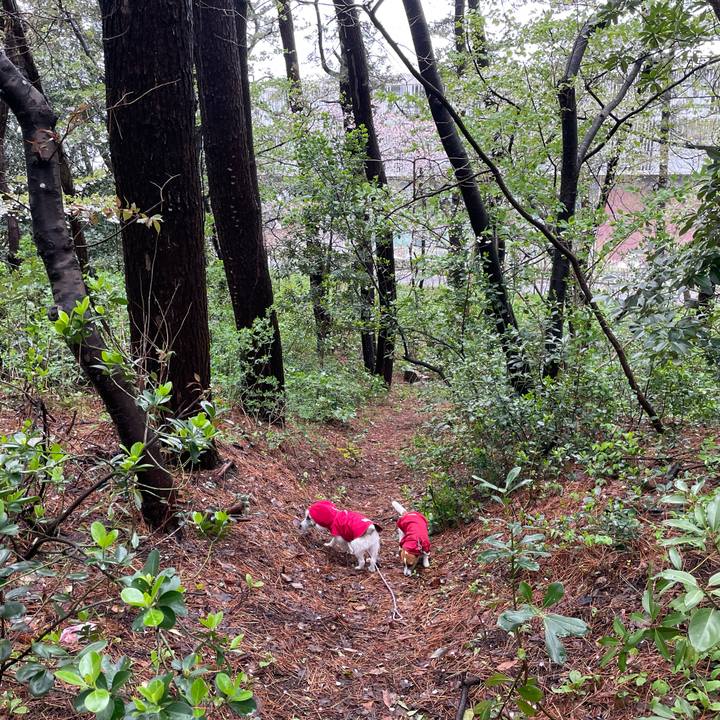 16a223c6 6de4 4785 a601 189aae553e44 1650073424143