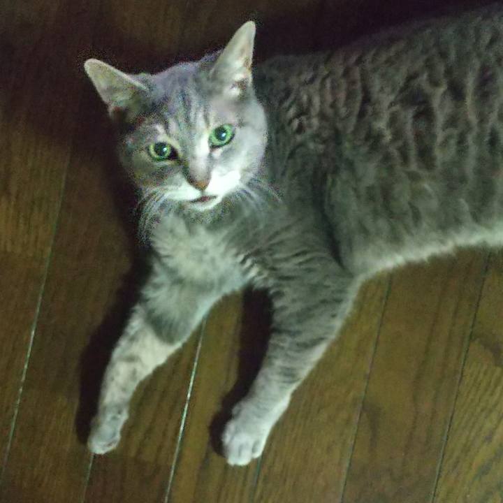 16a23244 3dce 41d9 a486 12c5bbfe84b3 1655716067419