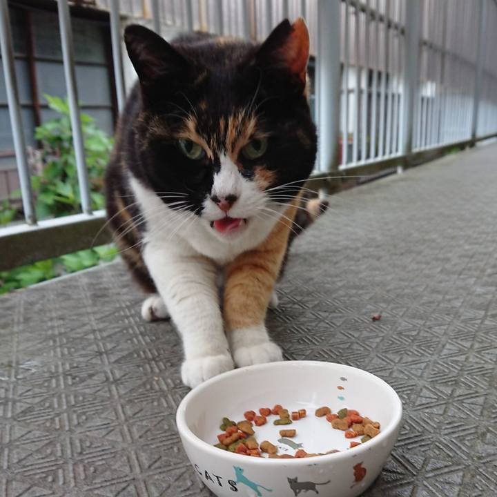 16a25ab8 d39a 4606 bf0a 2dbfc8badd4a 1650929253986