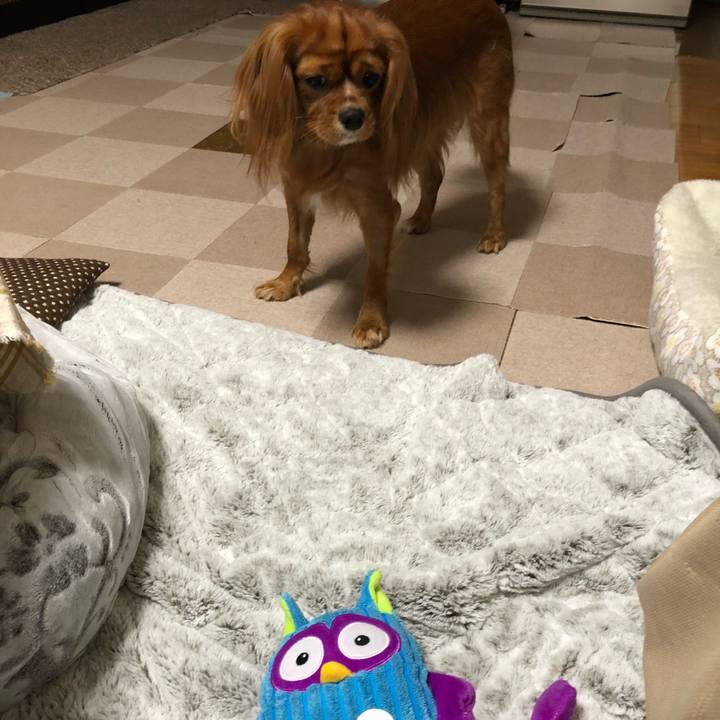 16a26878 858b 4867 9dad 42bcc30eab0f 1541024591479