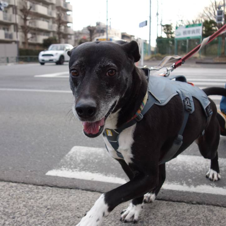 16a282e0 5592 4cc1 98c6 1f68ac3982be 1740874347919