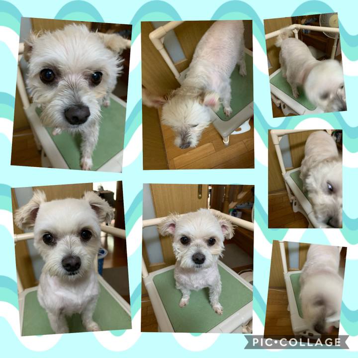 16a2e105 c21e 4b35 8cec 089a4c8d7bce 1598845083436