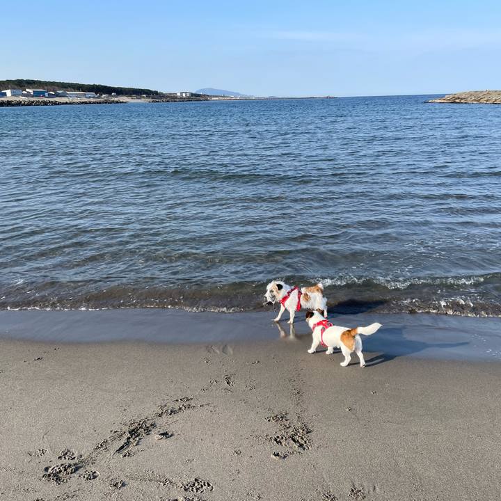 16a2e323 dc6e 4625 8efc 0dacabf5eee4 1679357827303