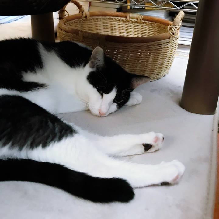 16a30e3b ac72 4028 8caf 4d734c41a529 1508123822423