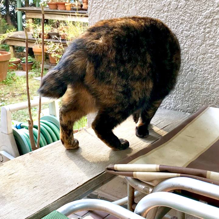 16a35f59 12ae 42fe b4c2 5eae1904c924 1548472012276