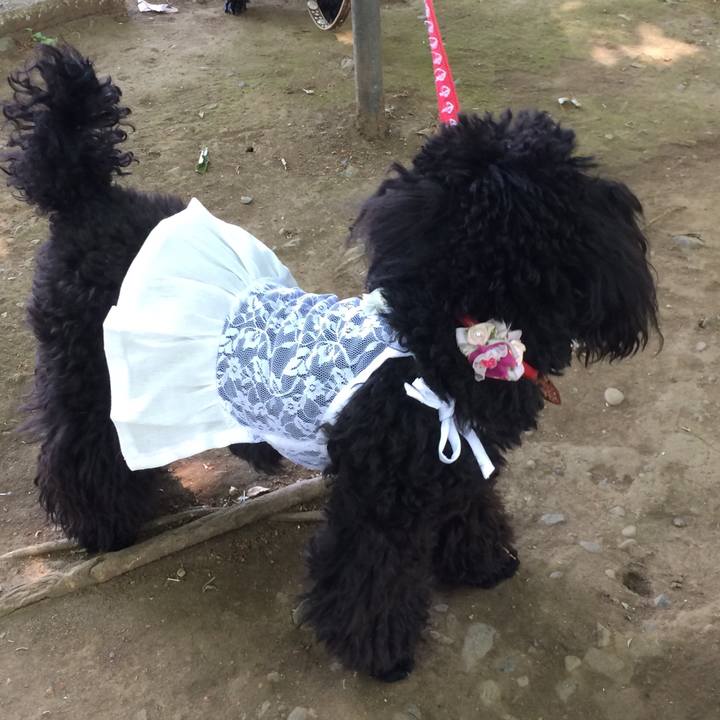 16a3828a 9ea0 4551 a157 d08c99de4a67 1526960441455