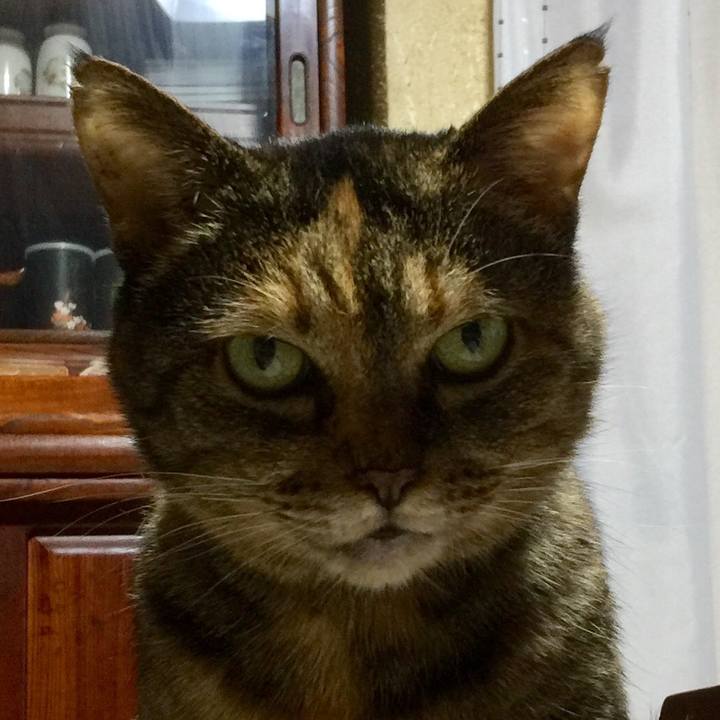 16a38c43 0051 4764 9da8 3b527f104036 1511614254817