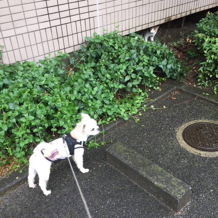 16a3b399 9ae4 46a0 954c 4ebfeec04c4f 1532765945540