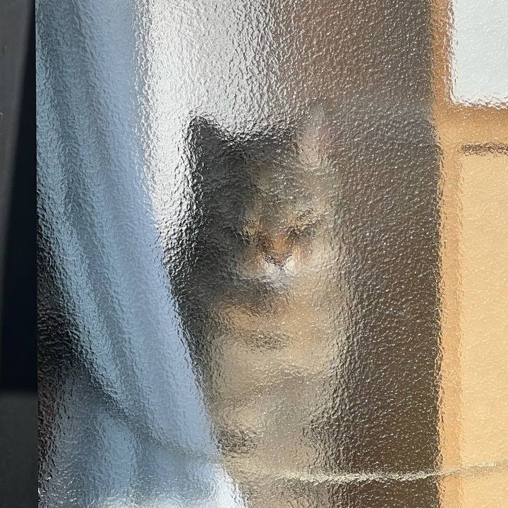 16a3bc6f 535b 40a4 ae6d 84439c80d58e 1668265282091