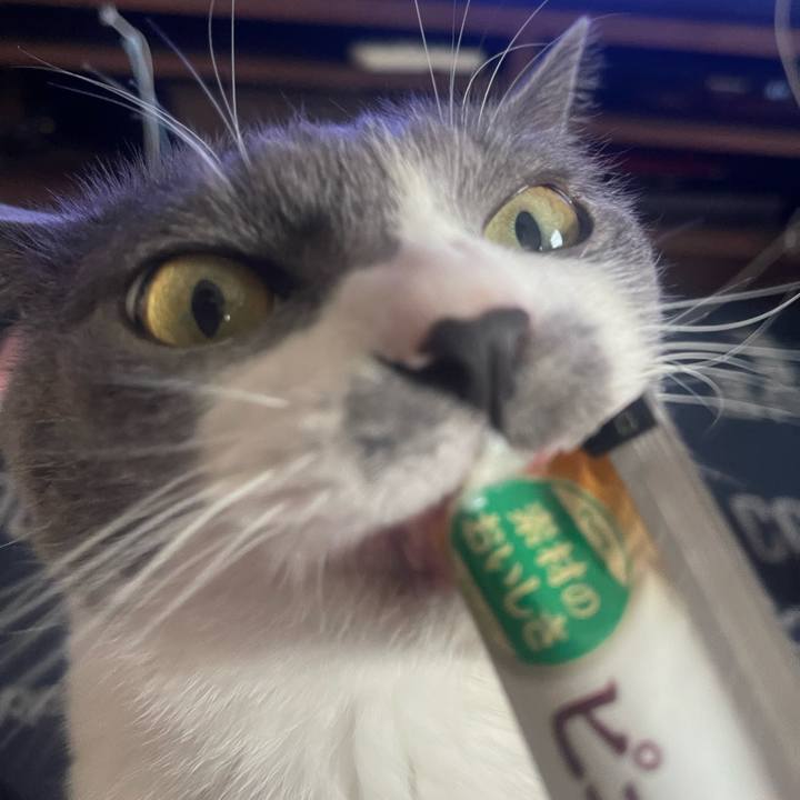 16a3d023 4809 4555 a7e2 709cf27ef9cc 1716363505199