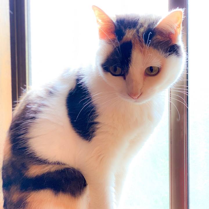 16a3d71a 1668 4e57 be43 8c637ed60e19 1563501206510