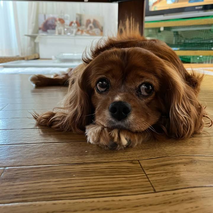 16a3f273 9a6e 441d 8566 4394eaa9f8bd 1662933594523