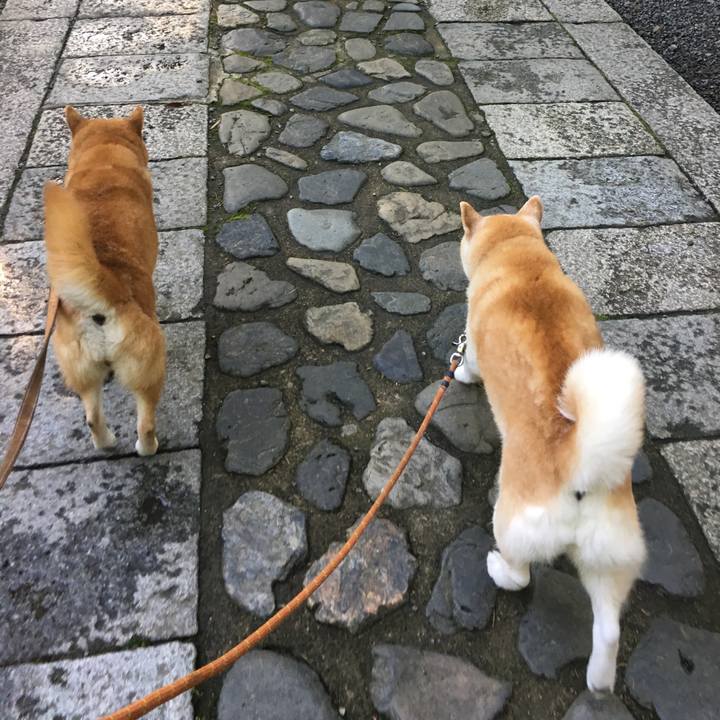 16a3f92b 46b3 4a8f a3f6 44d8384b46bc 1527145536803