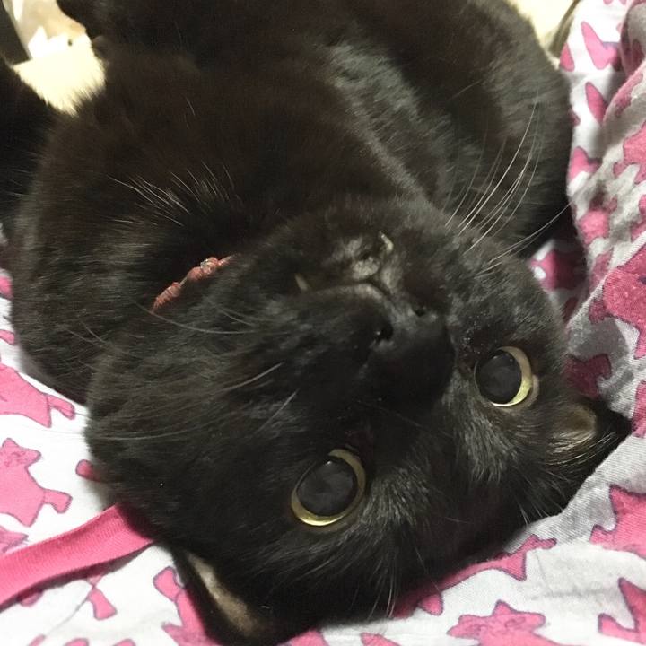 16a3f99d 0af1 494e a24a 1c16531d9789 1537369531840