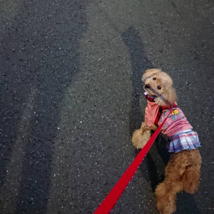 16a426e6 06f3 4d87 9d50 0e2b7f3fc956 1568973014724