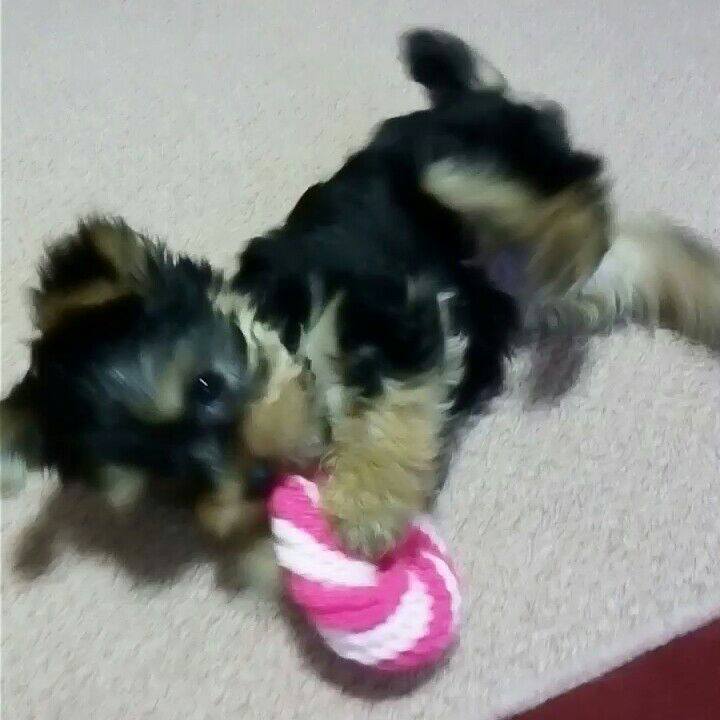 16a42810 b6e8 4bd6 b203 5e4297f985ba 1529152160308