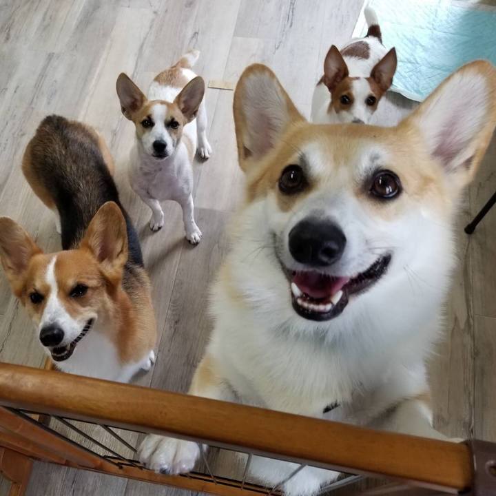 16a44505 fc38 4fae aeb3 e41892c4aac2 1565697681107