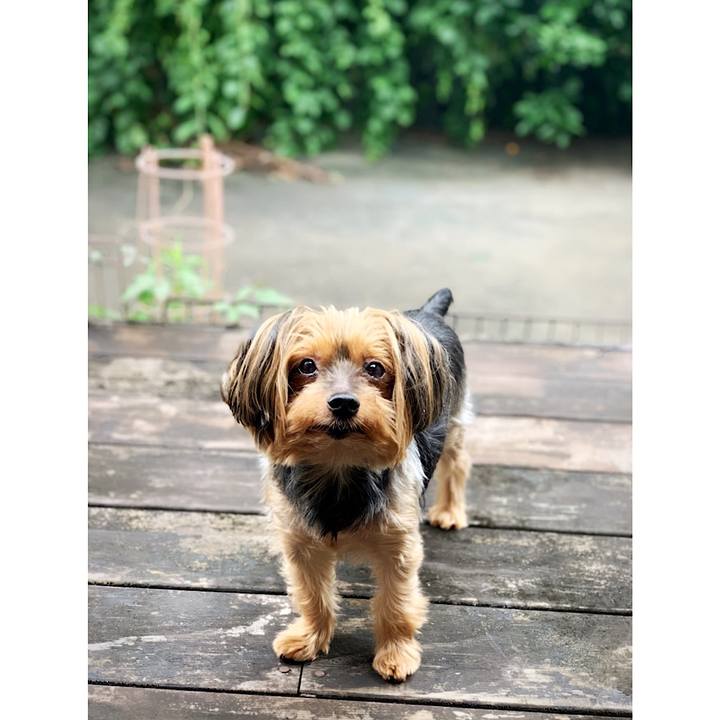 16a46ada 4918 41a7 a5d8 89a59a0c9344 1594424825637