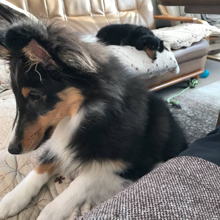 16a470e1 9c59 4574 8097 323687881a58 1515971734349