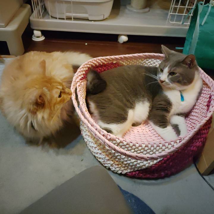 16a48fed 9365 4b26 91c7 ac7f94e252fb 1654608176657