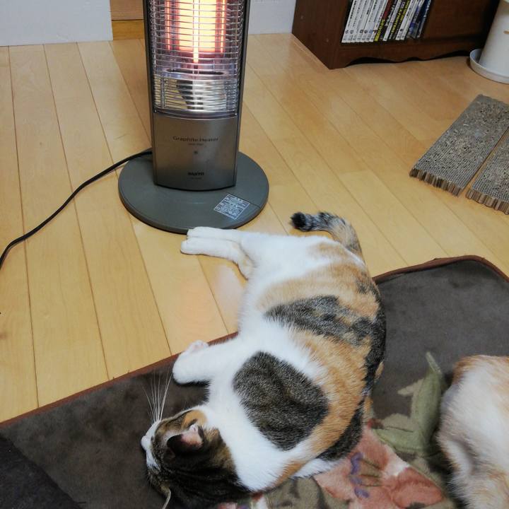 16a4d161 d0cf 4ac8 a179 70e566e7c4bb 1604443177616