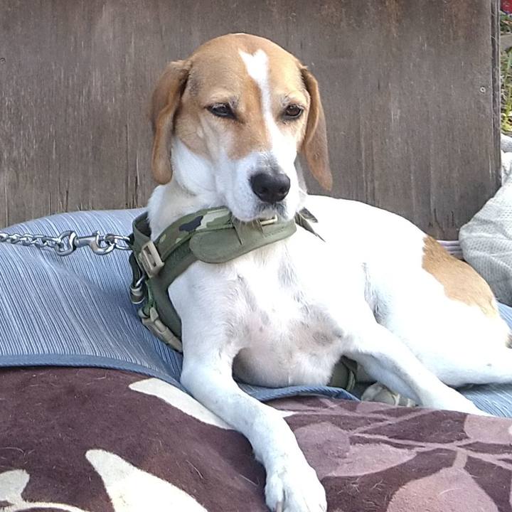 16a51379 8c53 4340 9d52 d13c64ac908d 1673253882645