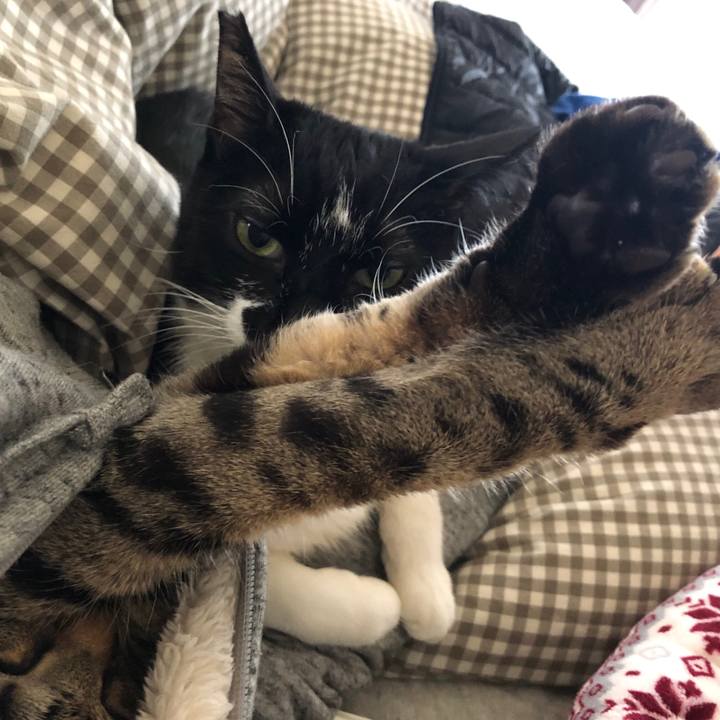 16a53b10 8536 4706 98dc 4f7c526308c4 1554390443649