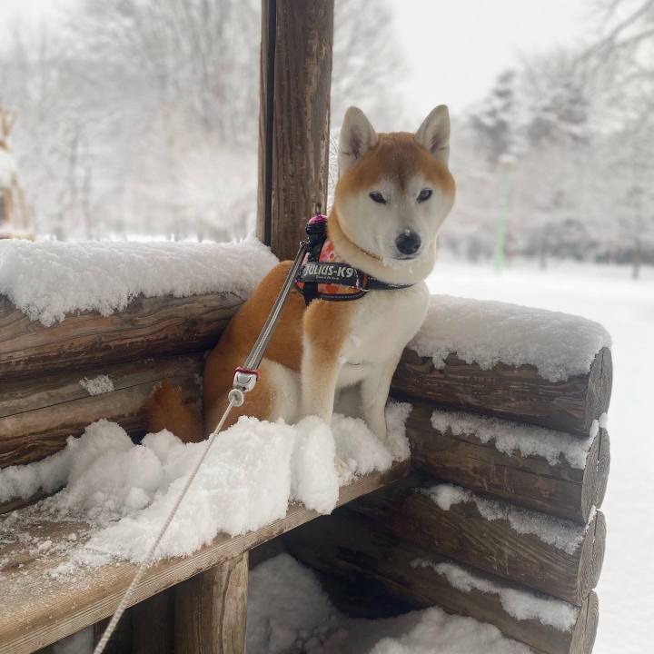 16a53b84 2be8 4362 bef9 58cb4c14baaa 1673311675260